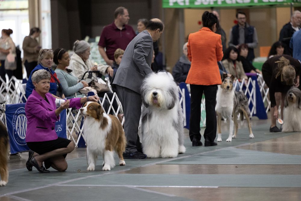 2023 Nickel City Cluster